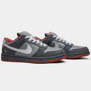 Nike SB Dunk Low NYC Pigeon