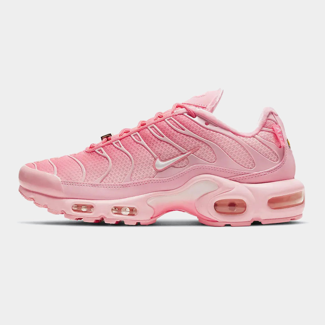 Nike Air Max Plus Plus Atlanta